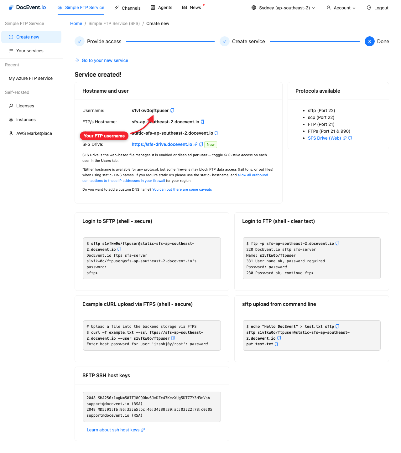 Service created, with hostname and username