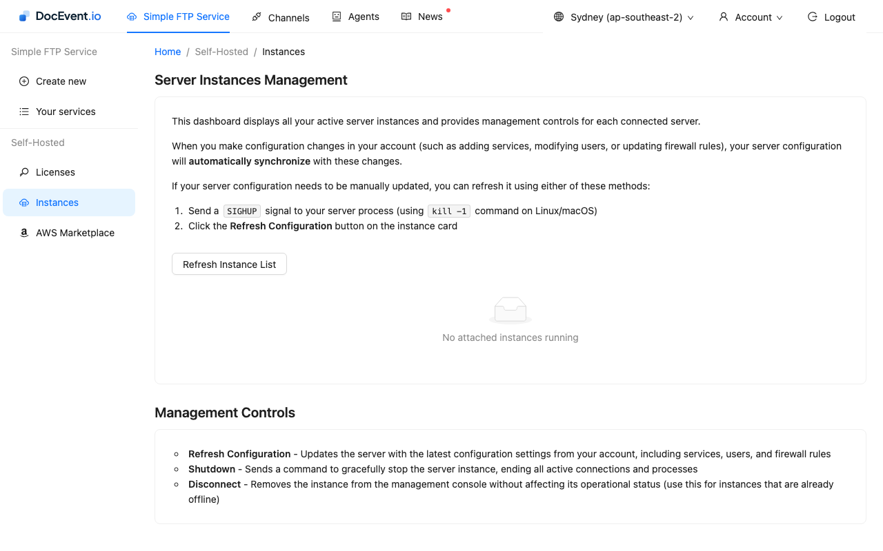 The Instances page
